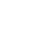 Optical Shape